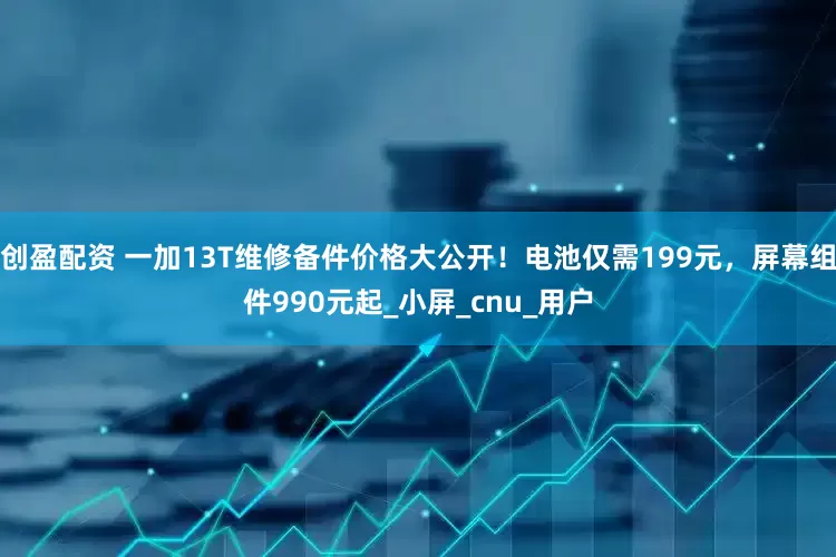 创盈配资 一加13T维修备件价格大公开！电池仅需199元，屏幕组件990元起_小屏_cnu_用户