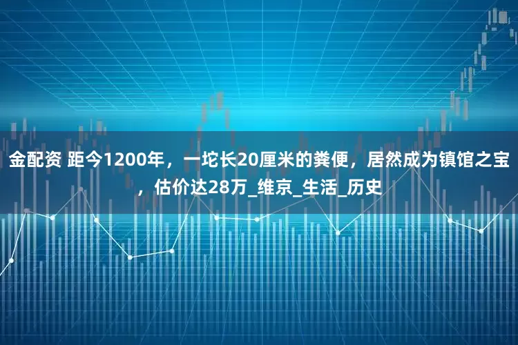 金配资 距今1200年，一坨长20厘米的粪便，居然成为镇馆之宝，估价达28万_维京_生活_历史