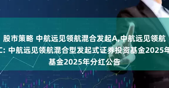 股市策略 中航远见领航混合发起A,中航远见领航混合发起C: 中航远见领航混合型发起式证券投资基金2025年分红公告