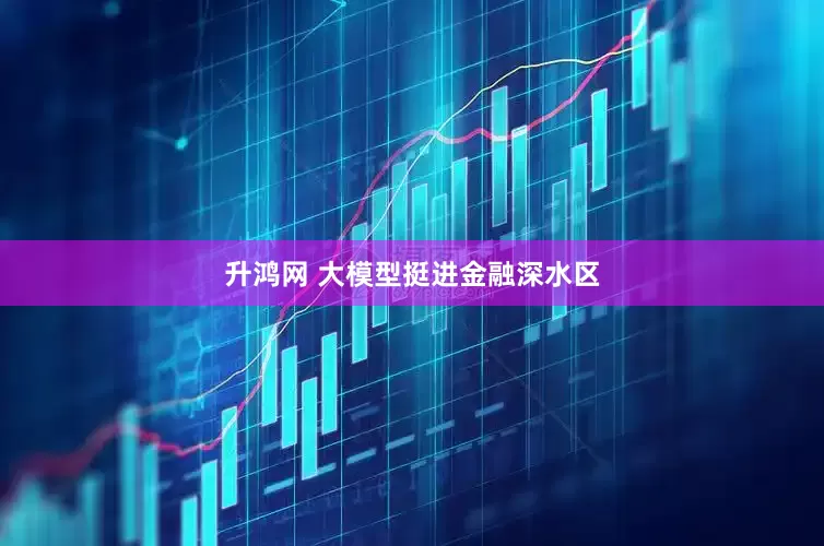 升鸿网 大模型挺进金融深水区