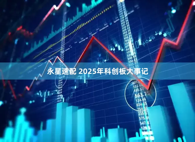 永星速配 2025年科创板大事记