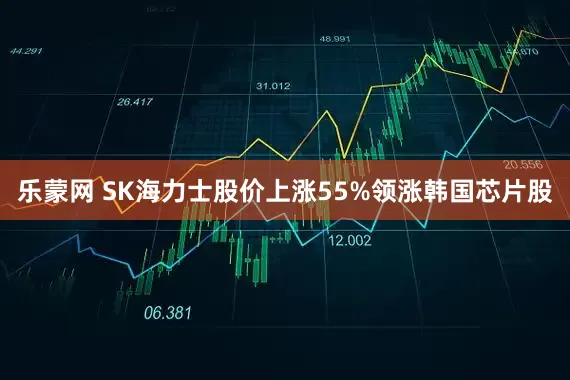 乐蒙网 SK海力士股价上涨55%领涨韩国芯片股