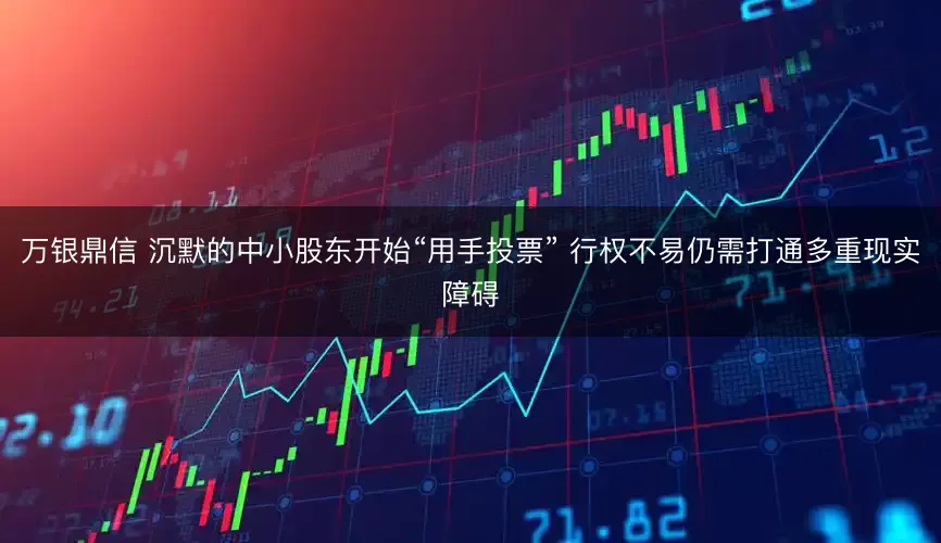 万银鼎信 沉默的中小股东开始“用手投票” 行权不易仍需打通多重现实障碍